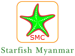 Star fish myanmar logo